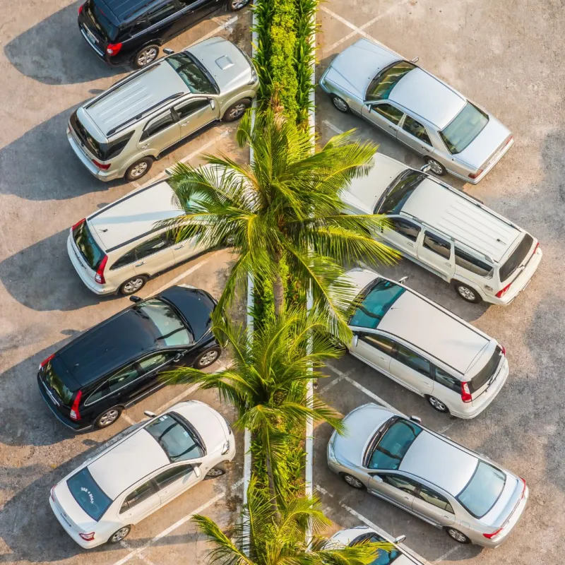 improve colour and attrrative give exract