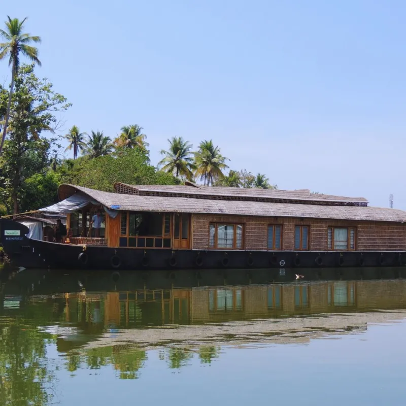 Honeymoon Cruise Packages
