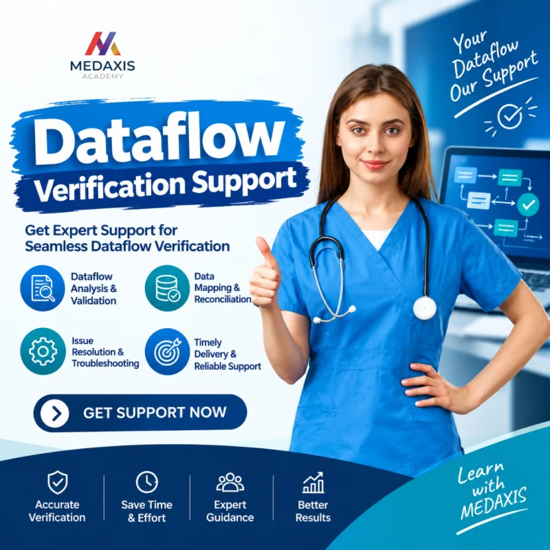 Dataflow Verification Support