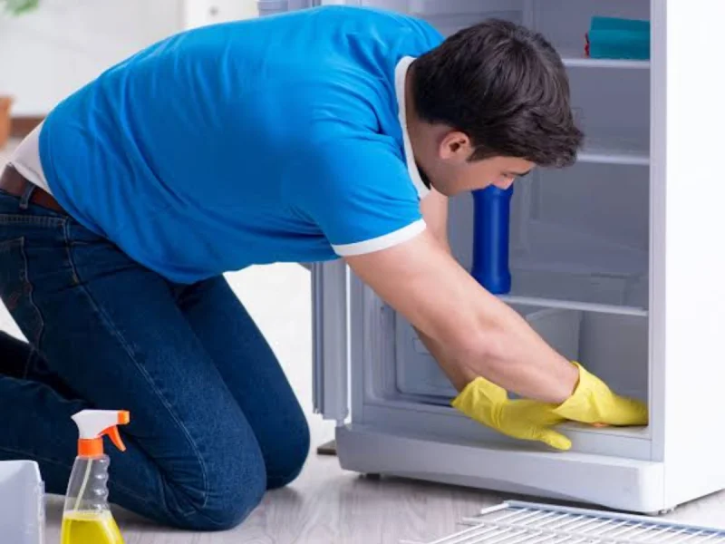 Fridge Cleaning Service in Palakkad